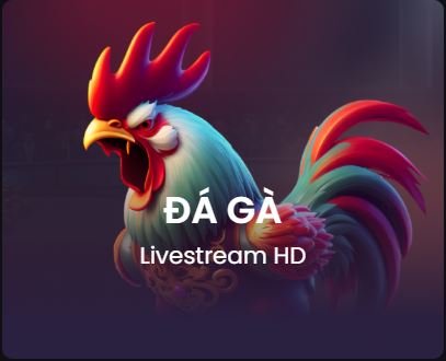 da-ga-ko66 banner